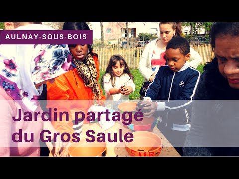 Image youtube